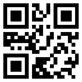 QrCode di 3304898161