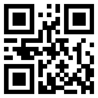 QrCode di 3304898382