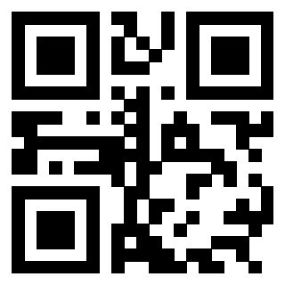 3304898536 Qr Code associato