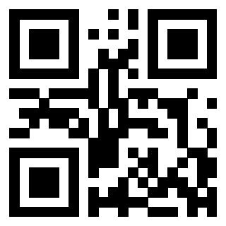 QrCode di 3304898669