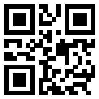 Il Qr Code di 3304904853