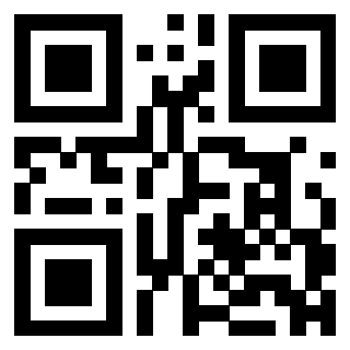 3304904893 - Immagine del Qr Code associato