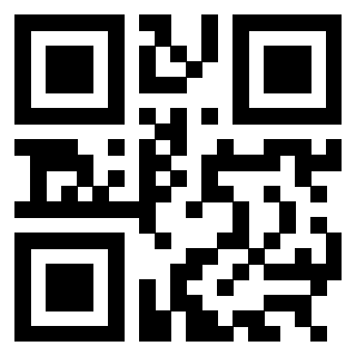Il Qr Code di 3304904894