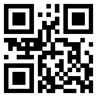3304904896 Qr Code associato
