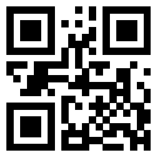 Il Qr Code di 3304904902