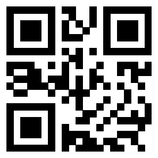 Il Qr Code di 3304904990