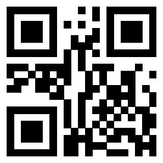 Il Qr Code di 3304904992