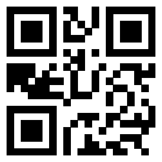 3304905033 - Immagine del QrCode