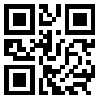 3304905070 - Immagine del QrCode associato