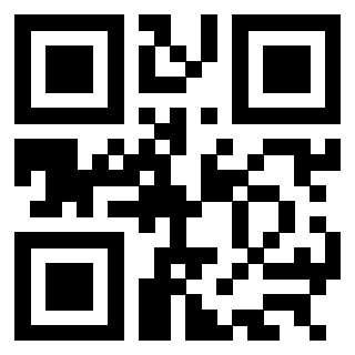 3304905096 QrCode associato