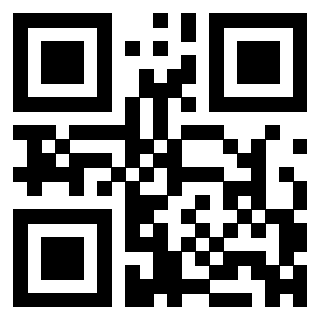 3304905184 - Immagine del QrCode