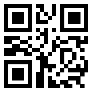 Il Qr Code di 3304905256