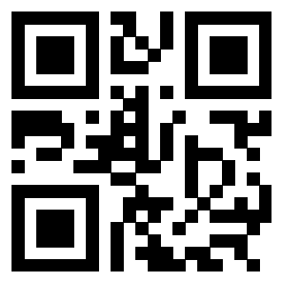 3304905306 - Immagine del QrCode