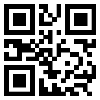 QrCode di 3304905333