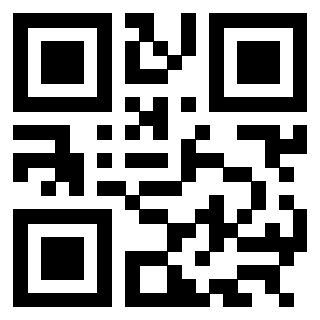Il Qr Code di 3304905335
