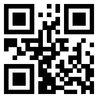 3304905347 - Immagine del QrCode