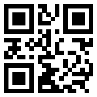 Il Qr Code di 3304905396