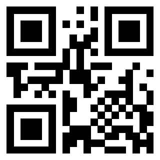 3304905460 - Immagine del QrCode