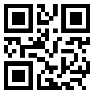 Il Qr Code di 3304905687