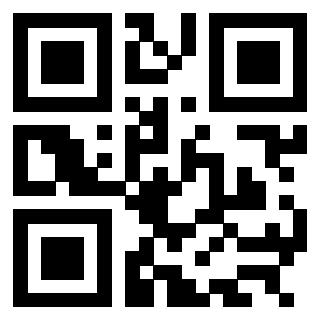 QrCode di 3304948384