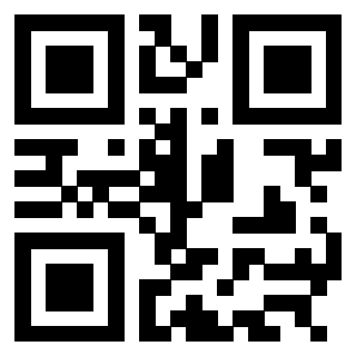 QrCode di 3304948443