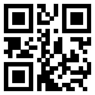 Il Qr Code di 3304948455