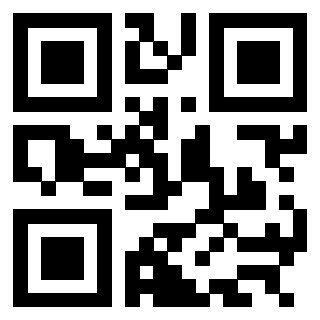 3304948494 - Immagine del QrCode