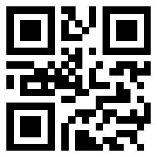 QrCode di 3304948669