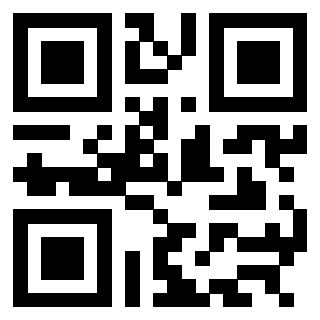 Il Qr Code di 3304948713