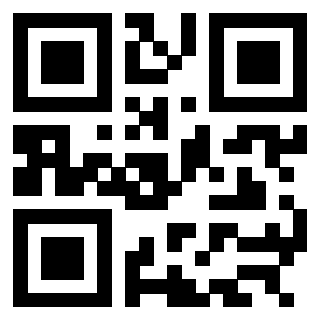 3304948733 - Immagine del QrCode