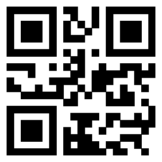 QrCode di 3304948813