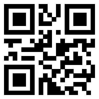 QrCode di 3304948819
