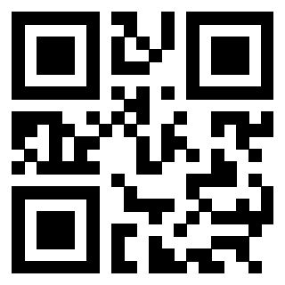 Il Qr Code di 3304948996