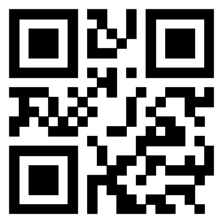 Il Qr Code di 3304949039