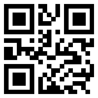 3304949040 QrCode associato
