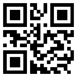 Il Qr Code di 3304949284