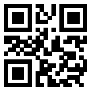 QrCode di 3304959713