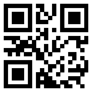 3304960001 - Immagine del QrCode