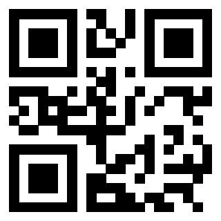 3304960025 QrCode associato