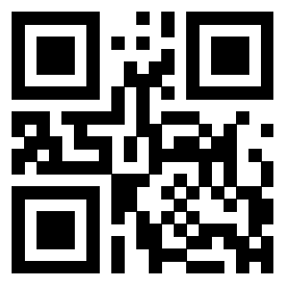 Il Qr Code di 3304960100