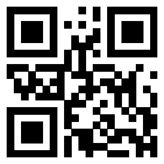 3304960125 Qr Code associato