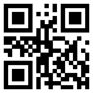 QrCode di 3304960133