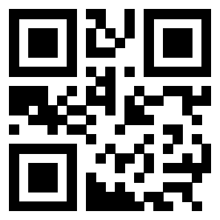 Il Qr Code di 3304960221
