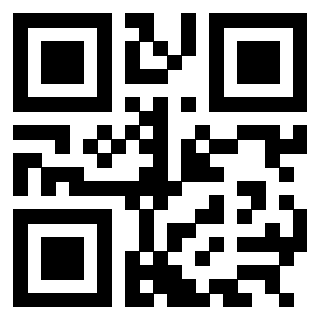 Il Qr Code di 3304960224