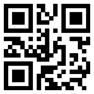 3304960384 - Immagine del QrCode associato