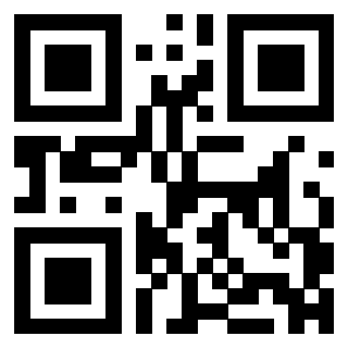 Il Qr Code di 3304960406