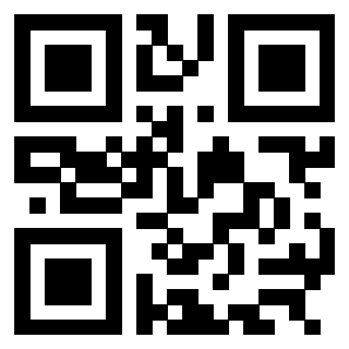 Il Qr Code di 3304963599