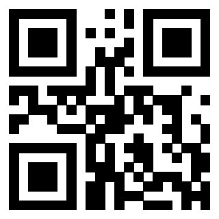 QrCode di 3304963613