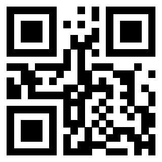 Il Qr Code di 3304963710