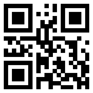 QrCode di 3304963743